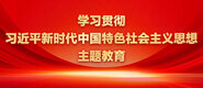 操逼舔逼动态视频网站学习贯彻习近平新时代中国特色社会主义思想主题教育_fororder_ad-371X160(2)